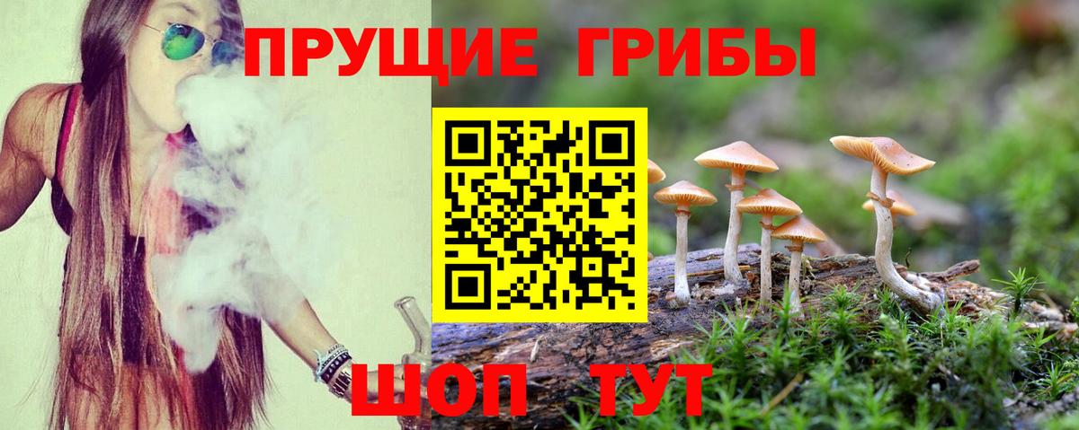 Горно-Алтайск  Галлюциногенные грибы мицелий  Вход с VPN  Псилоцибиновые грибы GOLDEN TEACHER 
